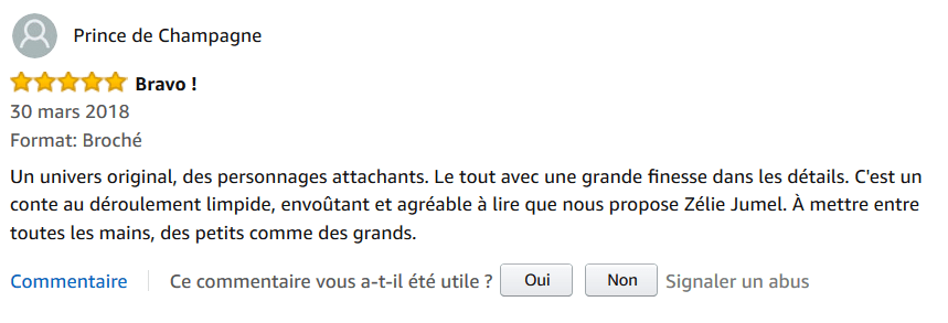 Avis Amazon 2