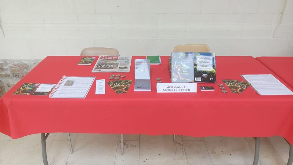 34788872_213310505943472_9165792335190032384_n